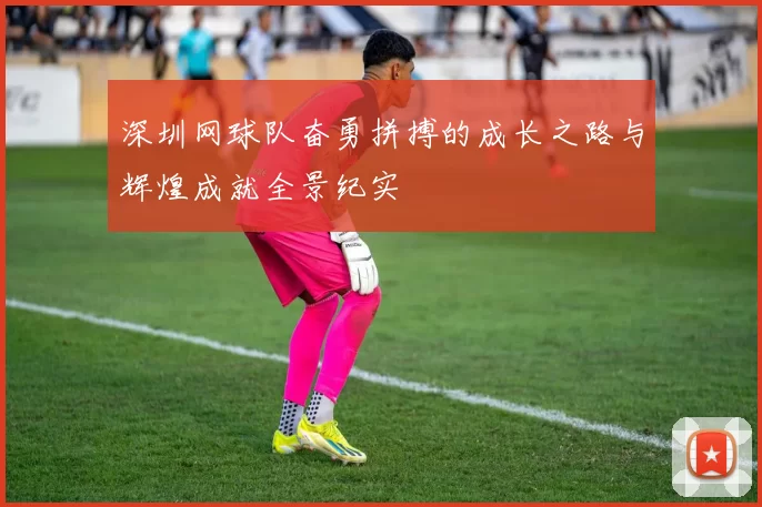 深圳网球队奋勇拼搏的成长之路与辉煌成就全景纪实